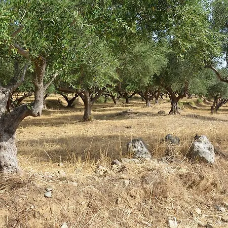 Skoutari Beach Skoutárion
