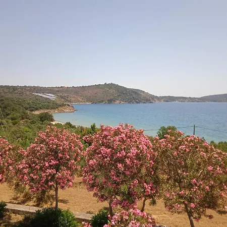 Skoutari Beach アパートホテル