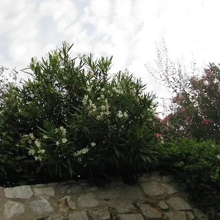 Skoutari Beach 2* Skoutárion