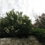 Skoutari Beach 2* Σκουτάρι
