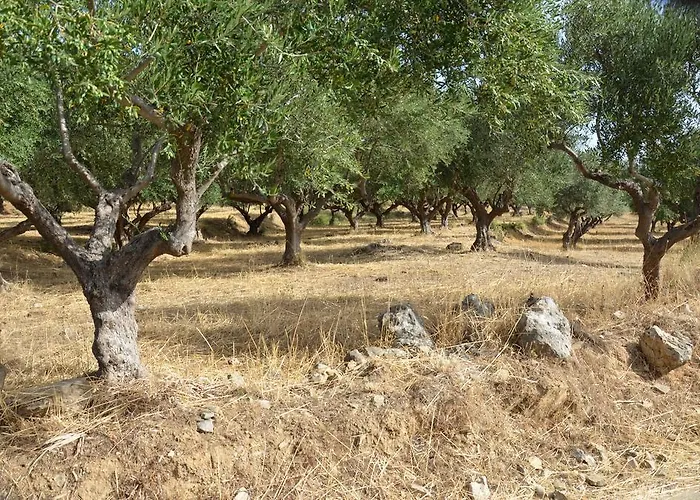 Skoutari Beach Σκουτάρι