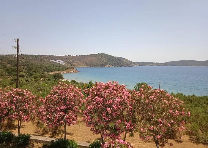 Skoutari Beach Ξενοδοχείο με διαμερίσματα