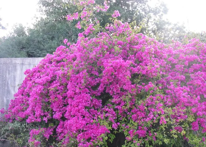 Skoutari Beach Σκουτάρι