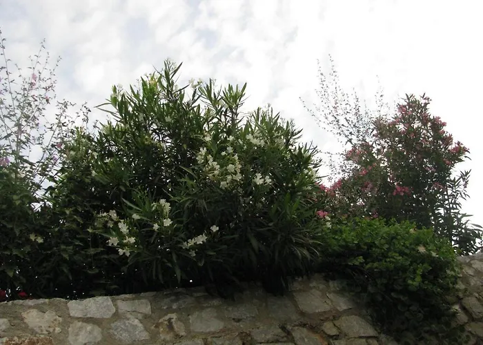 Skoutari Beach 2* Σκουτάρι